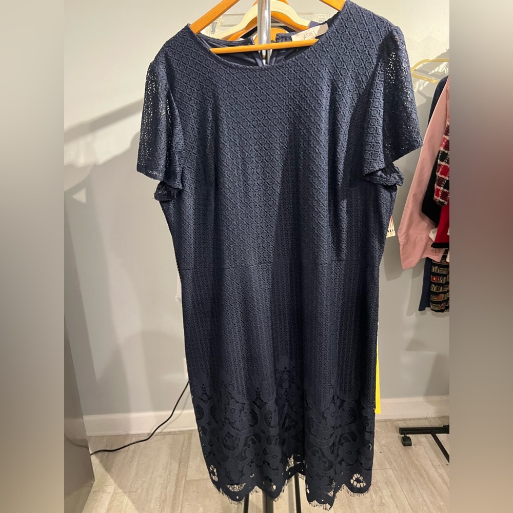 Loft Navy Lace Detailed Dress